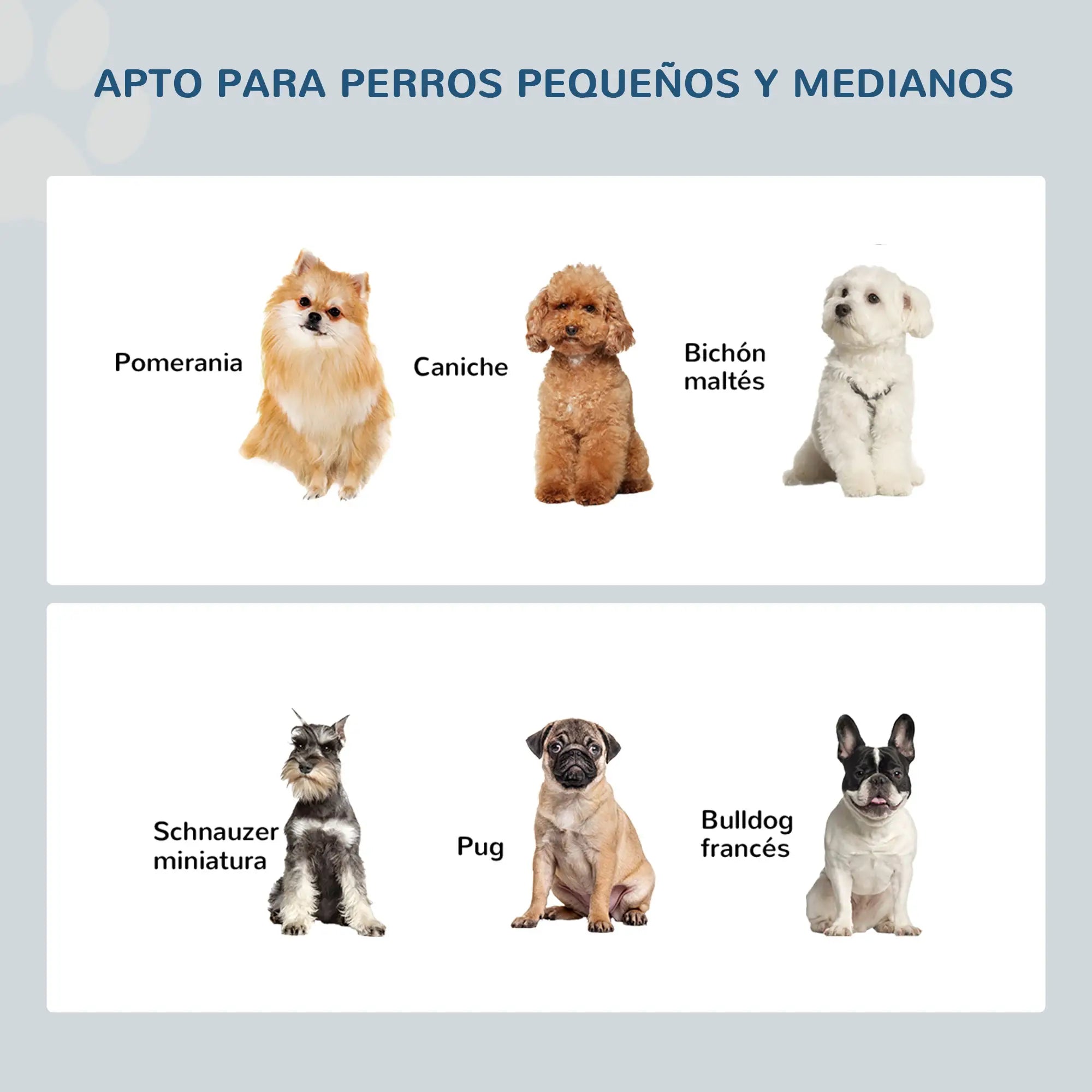 Comedero Elevado para Perros con 2 Cuencos de Acero Inoxidable | Diseño Elegante para una Alimentación Más Cómoda y Saludable