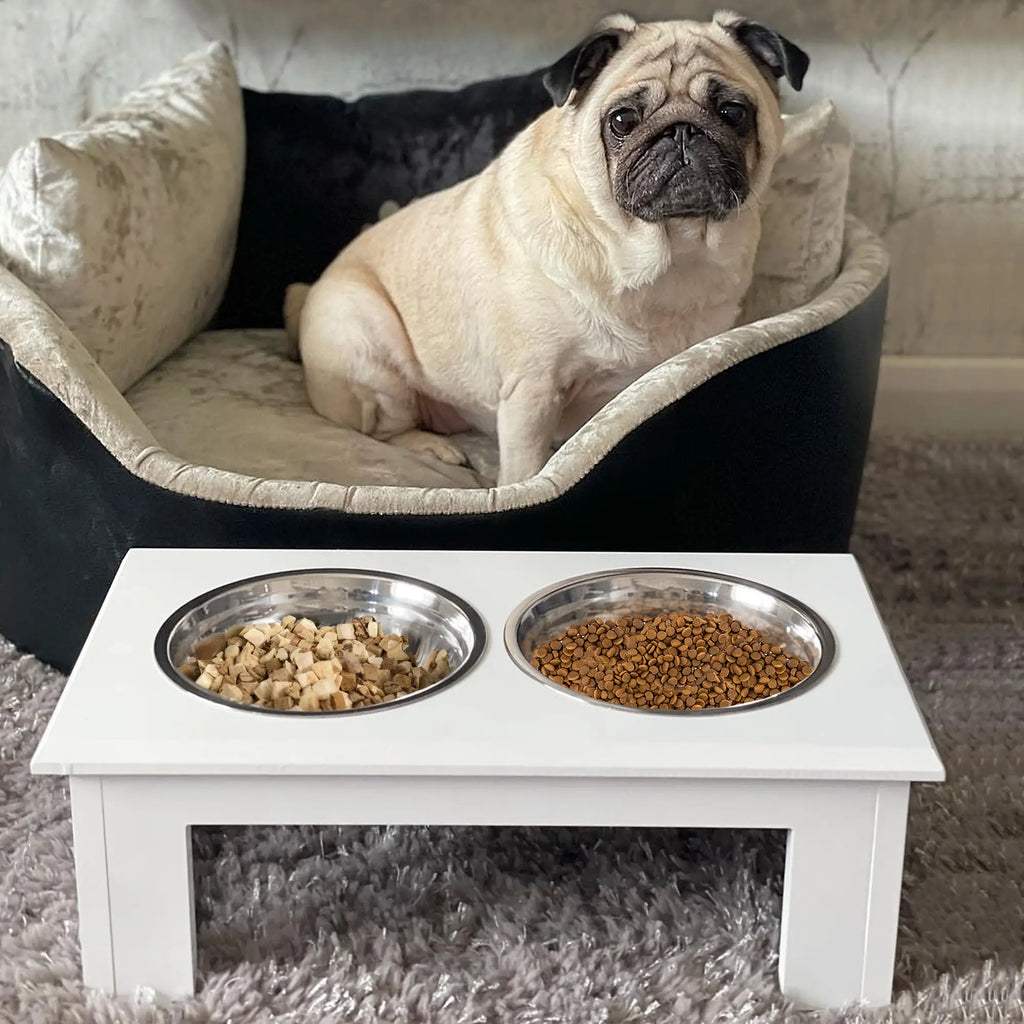 Comedero Elevado para Perros con 2 Cuencos de Acero Inoxidable | Diseño Elegante para una Alimentación Más Cómoda y Saludable